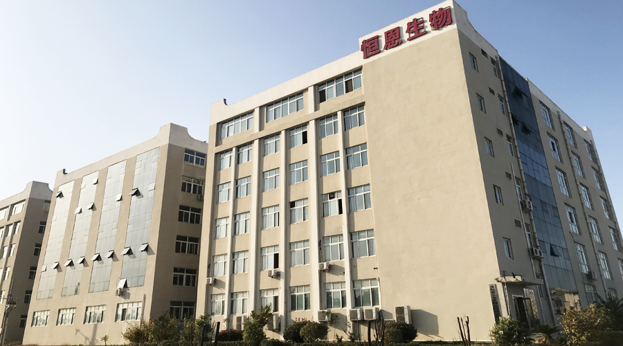 
                                祝賀洛陽恒恩生物科技有限公司新網(wǎng)站上線！
                            